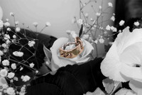 STEFANOS-LILY